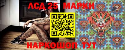 молекула духа Краснодар