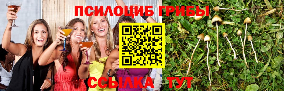 Галлюциногенные грибы Psilocybe  Вход с VPN  Шарыпово 
