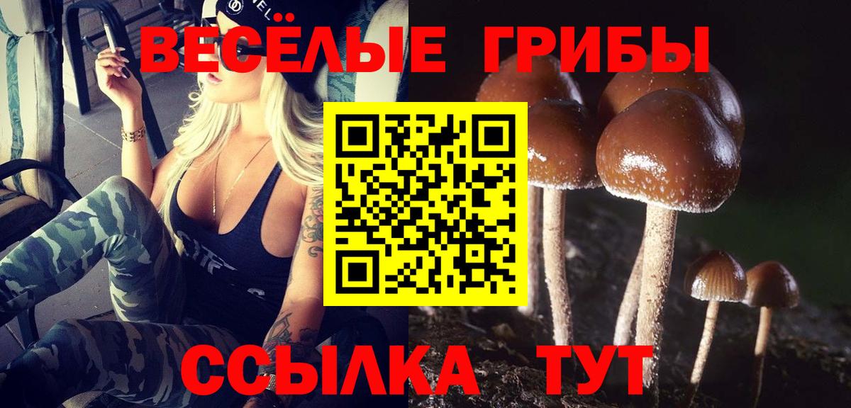 Псилоцибиновые грибы Psilocybine cubensis Шарыпово